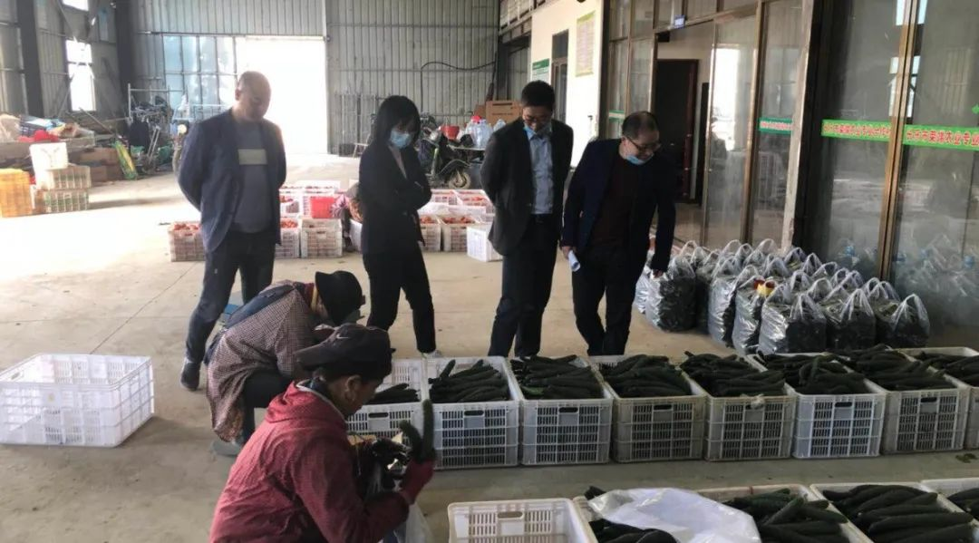 助力优化营商环境，他们有“温度”、有“速度”……