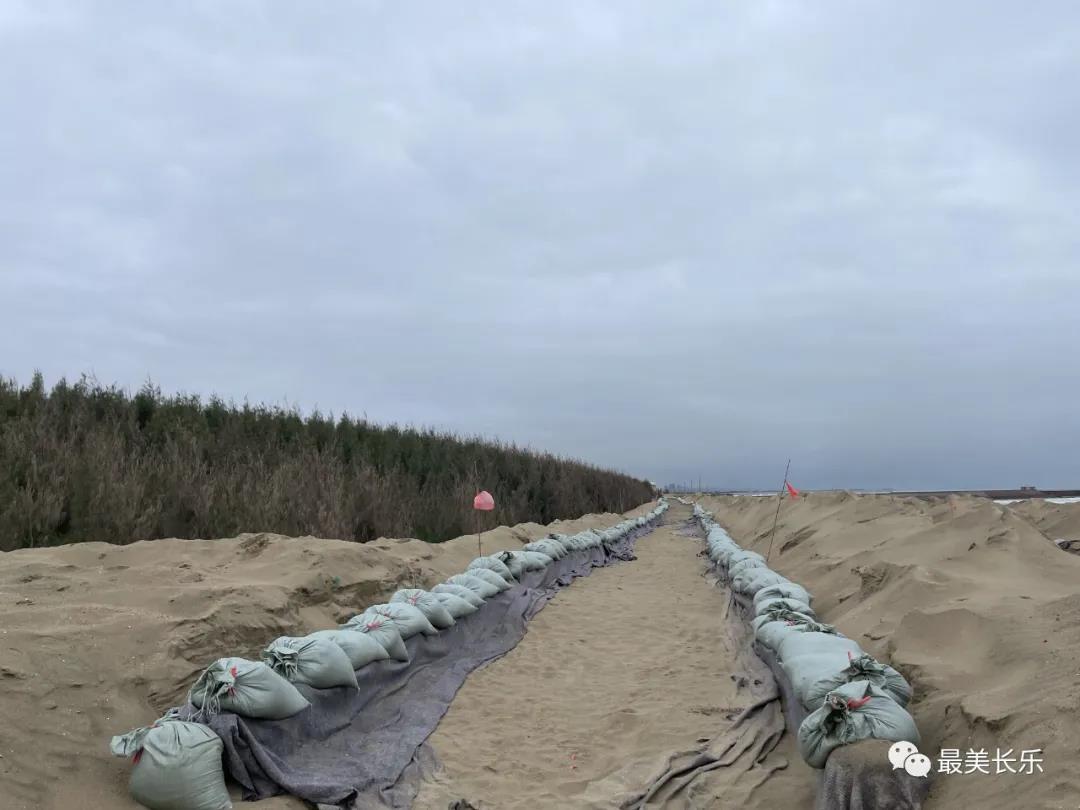 攻坚120天丨下沙海滩修复与养护工程二期进展顺利 攻坚120天丨下沙海滩修复与养护工程二期进展顺利