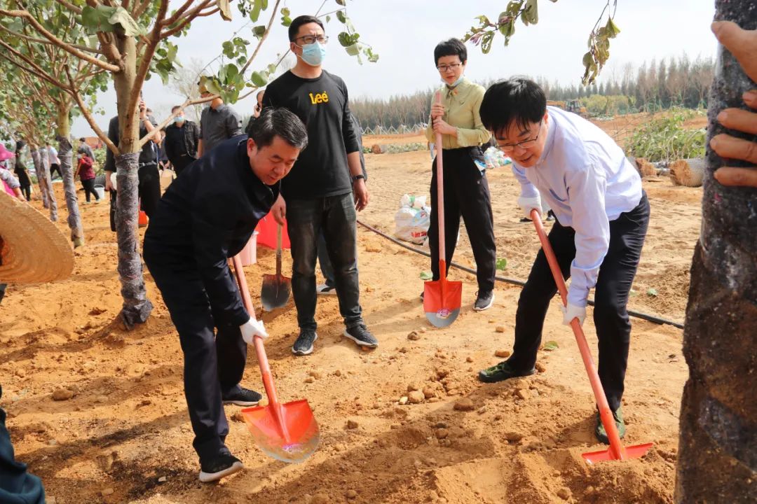 第三个“一百米”!我区开展沿海防护林植树活动 第三个“一百米”!我区开展沿海防护林植树活动