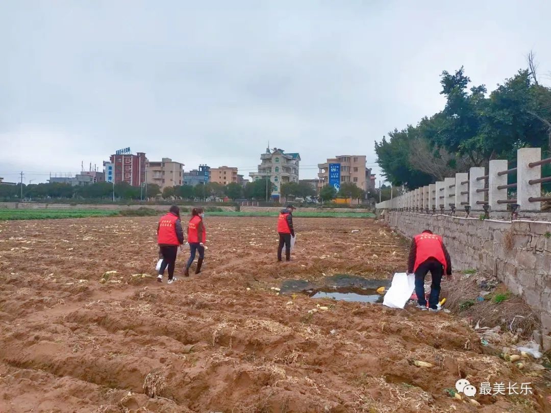 1100余人次,回收近630公斤!我区田园清洁行动让田园更美丽 1100余人次,回收近630公斤!我区田园清洁行动让田园更美丽