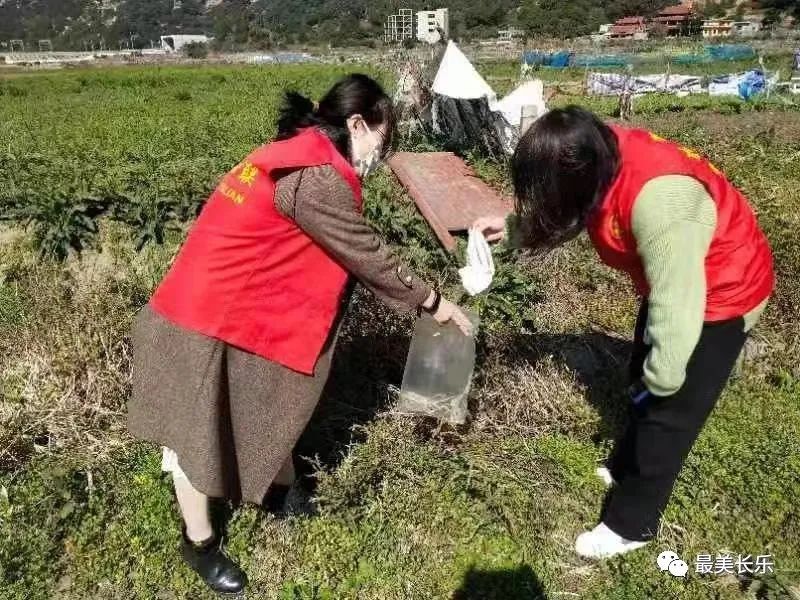 1100余人次,回收近630公斤!我区田园清洁行动让田园更美丽 1100余人次,回收近630公斤!我区田园清洁行动让田园更美丽