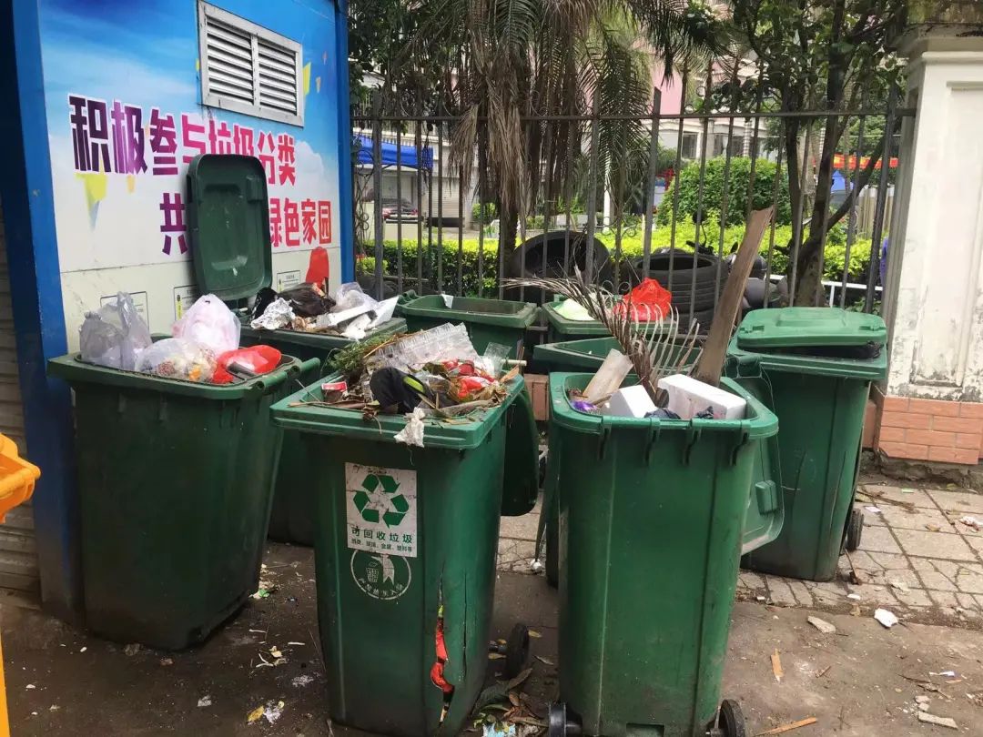 改革动态|注意!这些生活垃圾分类违规行为被曝光! 改革动态|注意!这些生活垃圾分类违规行为被曝光!