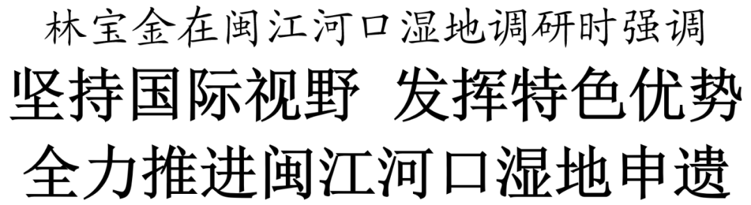 全力推进闽江河口湿地申遗!福州市委书记林宝金现场调研 全力推进闽江河口湿地申遗!福州市委书记林宝金现场调研