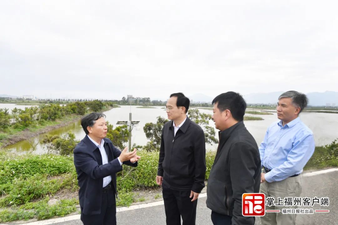 全力推进闽江河口湿地申遗!福州市委书记林宝金现场调研 全力推进闽江河口湿地申遗!福州市委书记林宝金现场调研