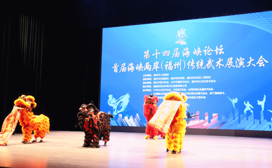 以武会友!两岸武术界在航展演传统武术! 以武会友!两岸武术界在航展演传统武术!