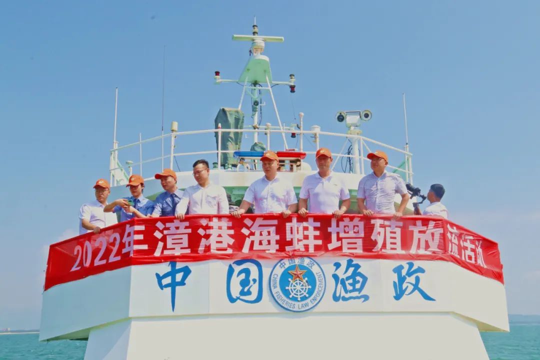 “乘风破浪”!35万海蚌宝宝归家...... “乘风破浪”!35万海蚌宝宝归家......