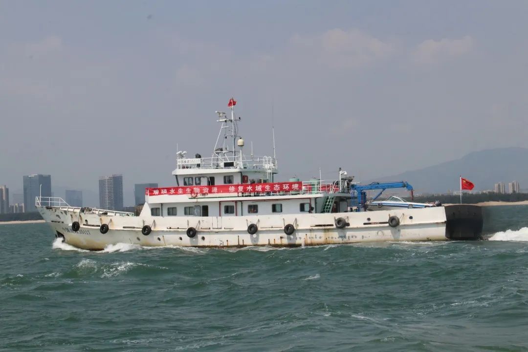 “乘风破浪”!35万海蚌宝宝归家...... “乘风破浪”!35万海蚌宝宝归家......
