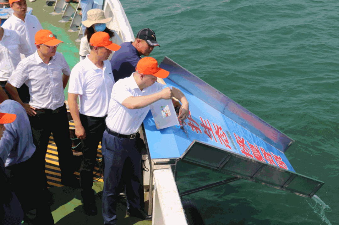 “乘风破浪”!35万海蚌宝宝归家...... “乘风破浪”!35万海蚌宝宝归家......
