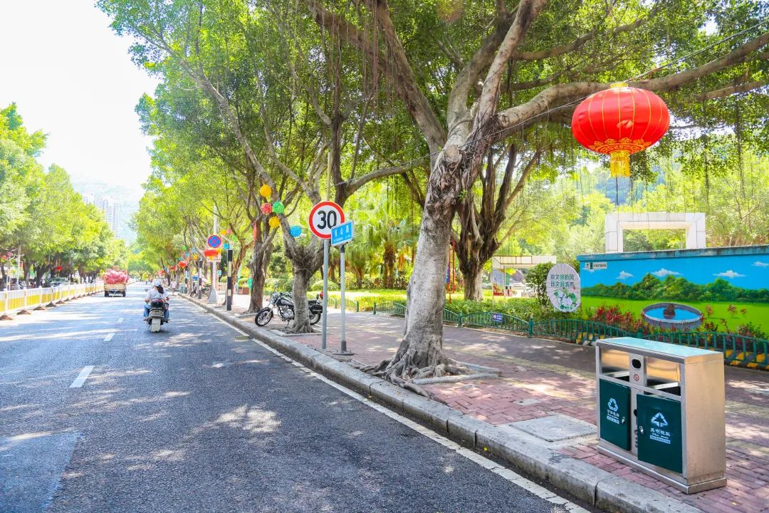 氛围感拉满!长乐街头这么美,为的是…… 氛围感拉满!长乐街头这么美,为的是……
