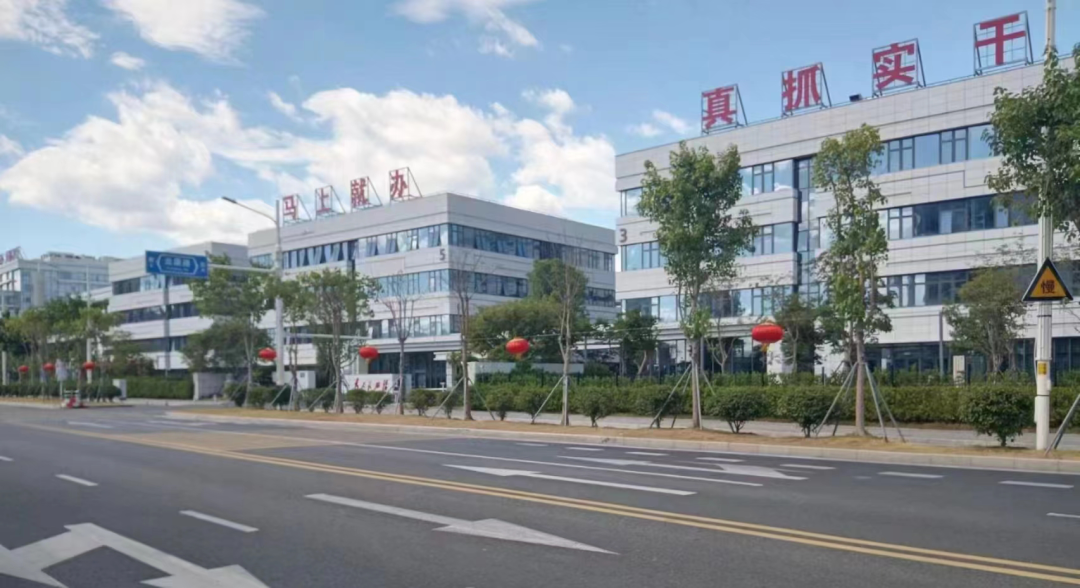 氛围感拉满!长乐街头这么美,为的是…… 氛围感拉满!长乐街头这么美,为的是……