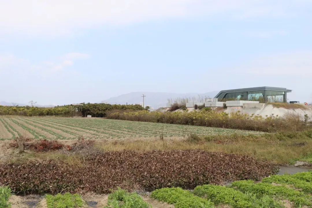 争优!争先!争效!来这里享受向往的生活! 争优!争先!争效!来这里享受向往的生活!