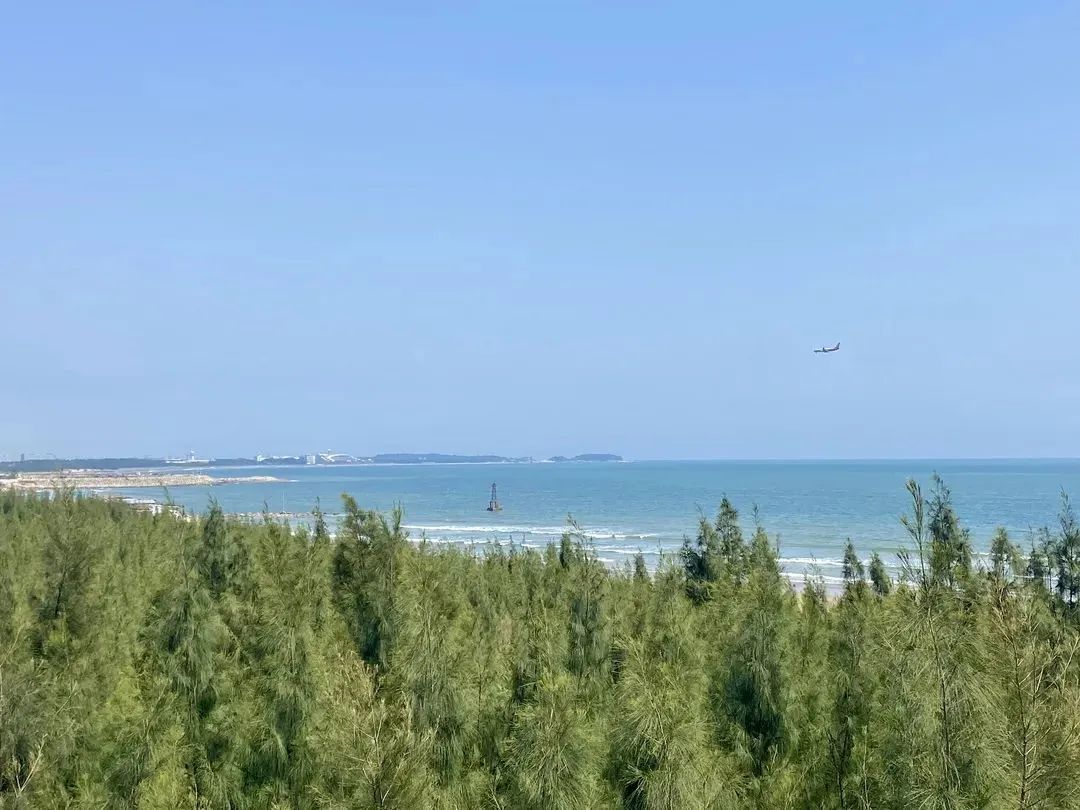 即将建成!长乐最美“海岸线”进度公布! 即将建成!长乐最美“海岸线”进度公布!