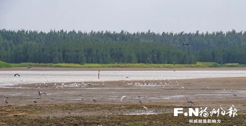 即将建成!长乐最美“海岸线”进度公布! 即将建成!长乐最美“海岸线”进度公布!