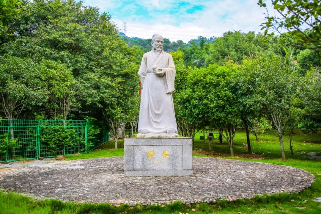 “五一”打卡长乐这座“宝藏”公园,能踏青、识草、辨药…… “五一”打卡长乐这座“宝藏”公园,能踏青、识草、辨药……