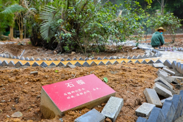 “五一”打卡长乐这座“宝藏”公园,能踏青、识草、辨药…… “五一”打卡长乐这座“宝藏”公园,能踏青、识草、辨药……