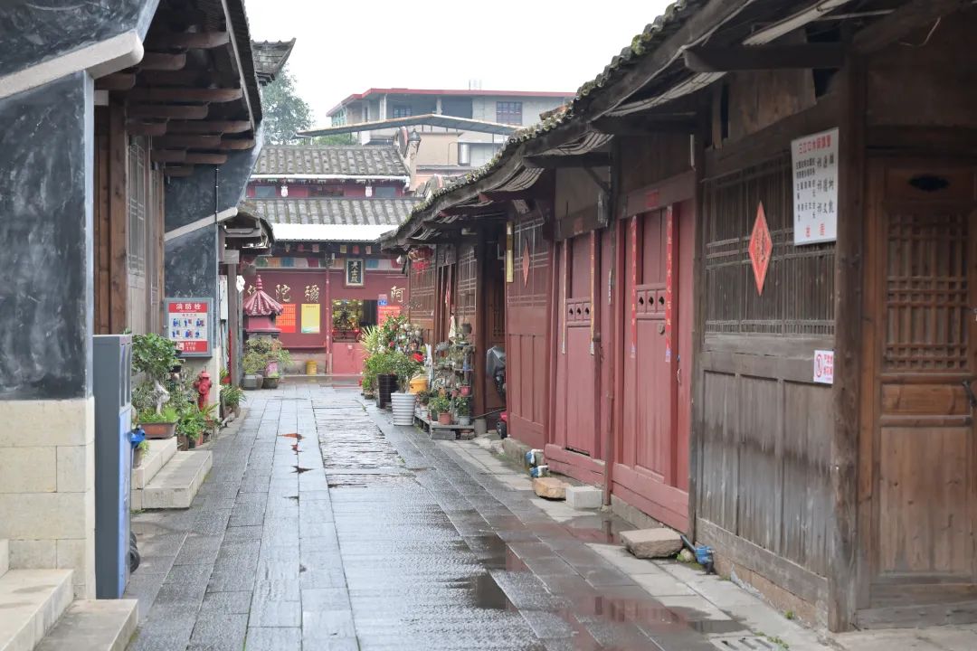探寻“一生长乐”的幸福密码 探寻“一生长乐”的幸福密码