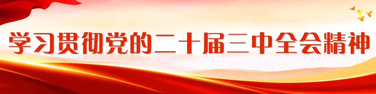 区领导开展节前安全生产检查 区领导开展节前安全生产检查