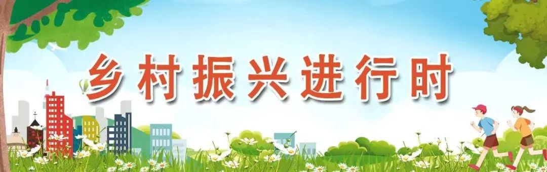 上天下地!智能科技为长乐农业“添翼”! 上天下地!智能科技为长乐农业“添翼”!