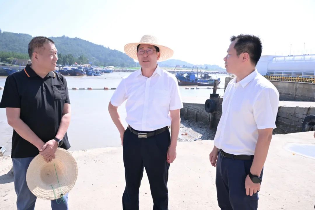 兰文调研梅花镇