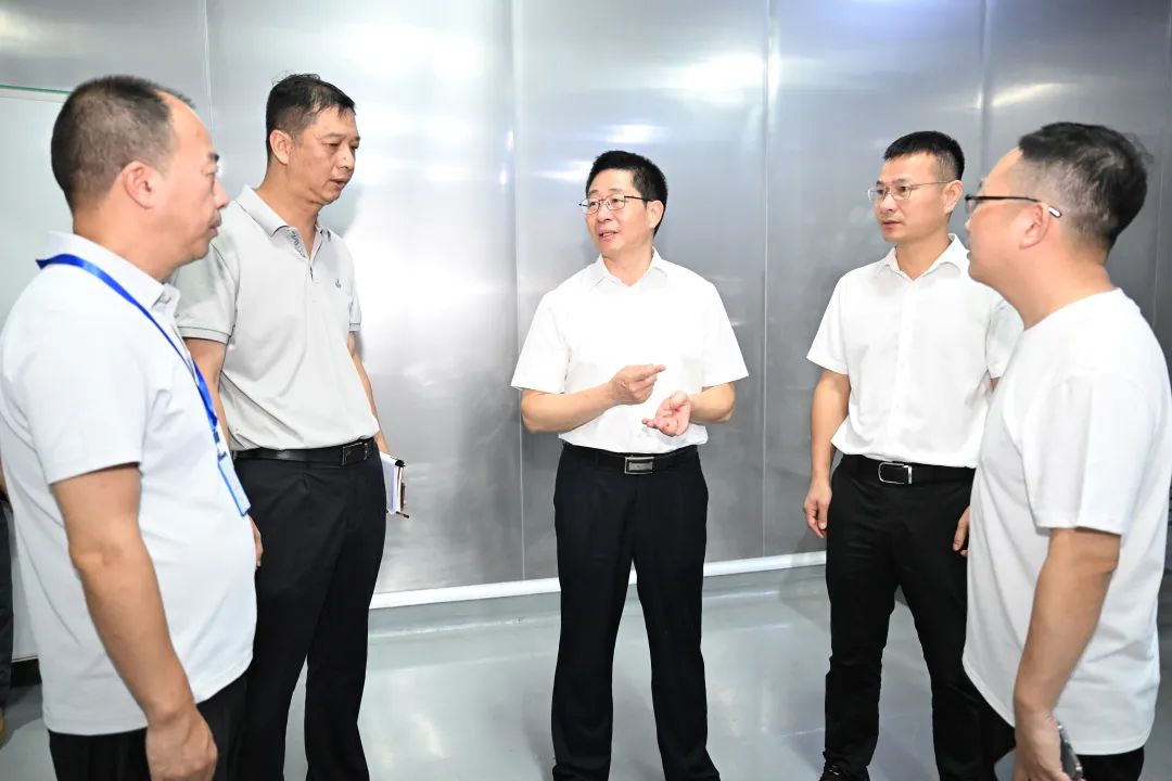 兰文调研漳港街道