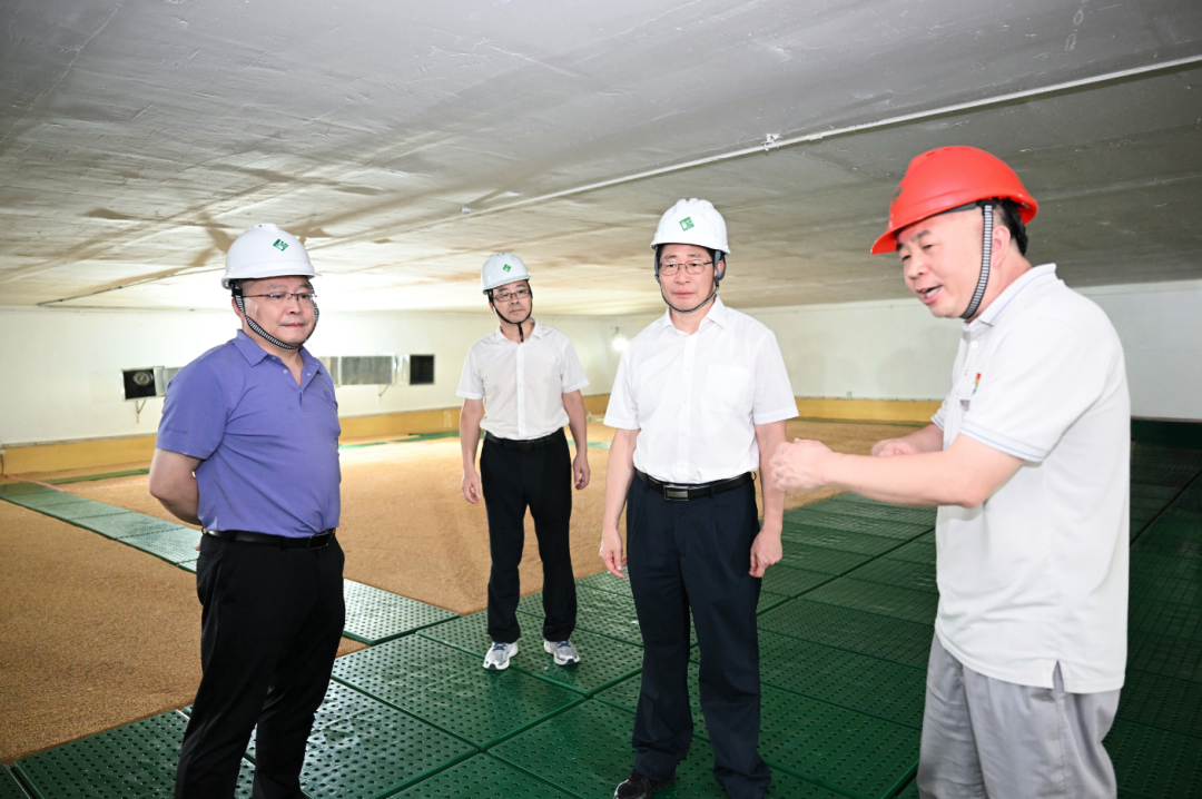 兰文调研松下镇