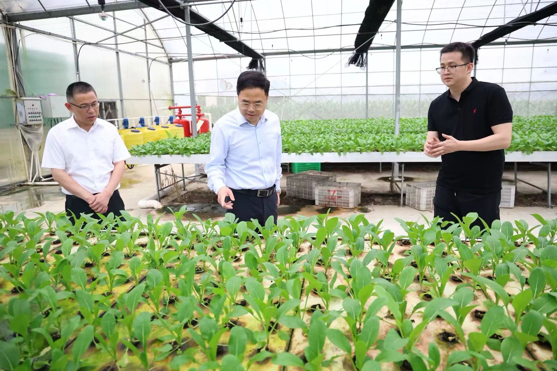 胡旭彬赴古槐镇调研并指导推动树立和践行正确政绩观学习教育 胡旭彬赴古槐镇调研并指导推动树立和践行正确政绩观学习教育