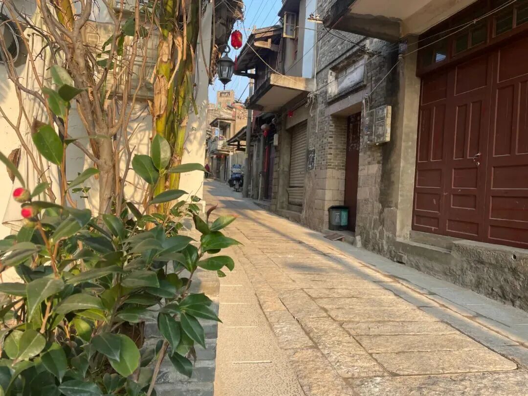 喜报!长乐梅花文保经验入选省级清单,全省推广! 喜报!长乐梅花文保经验入选省级清单,全省推广!